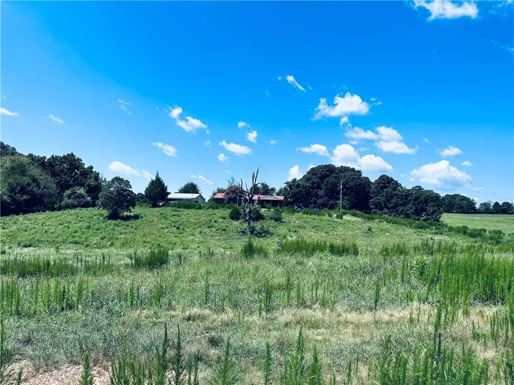 4308 Athens Road Carnesville, GA 30521