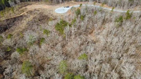 LOT 43 Bucktail Way