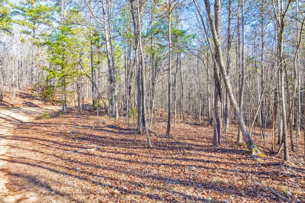 277 Bethel Church Road SE Silver Creek, GA 30173
