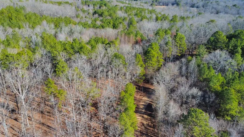 277 Bethel Church Road SE Silver Creek, GA 30173