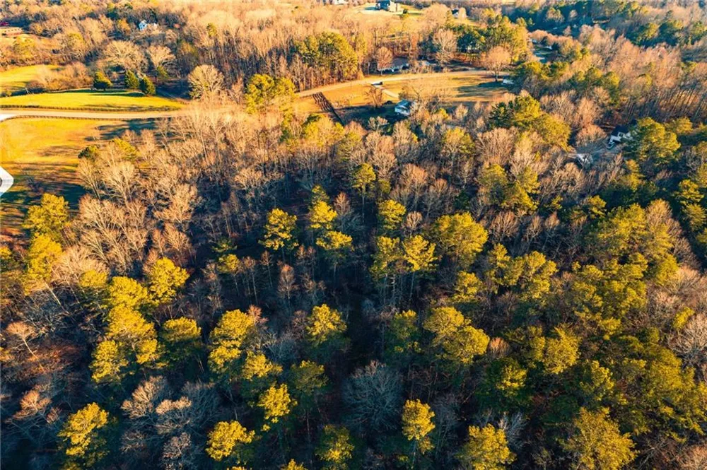 873 Long Road Ball Ground, GA 30107