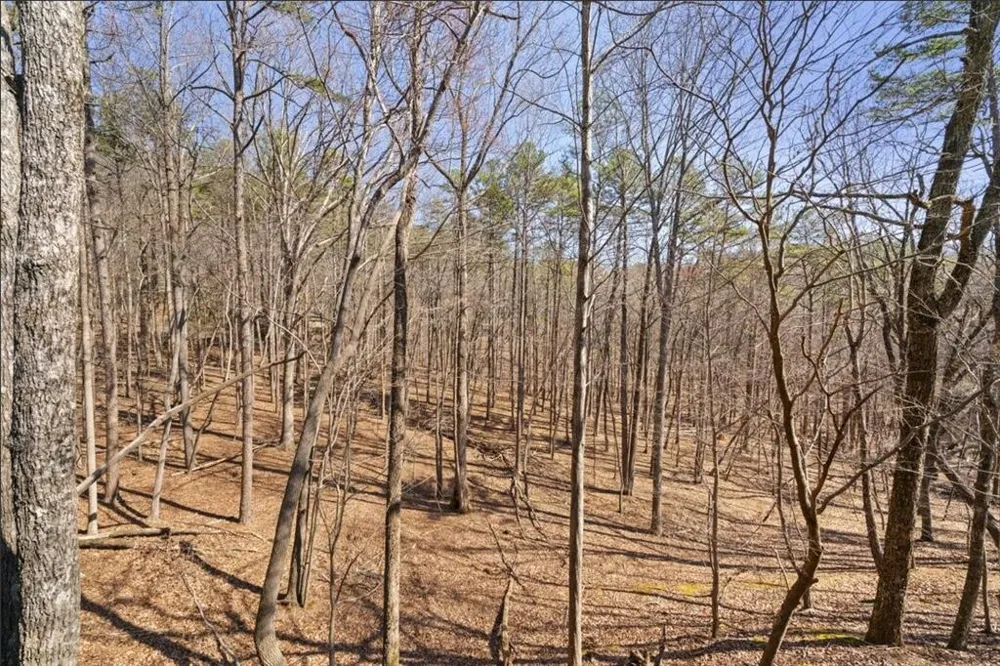 81 Cardinal Cove Big Canoe, GA 30143