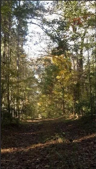 1047 Ponder Trammell Road Juliette, GA 31046