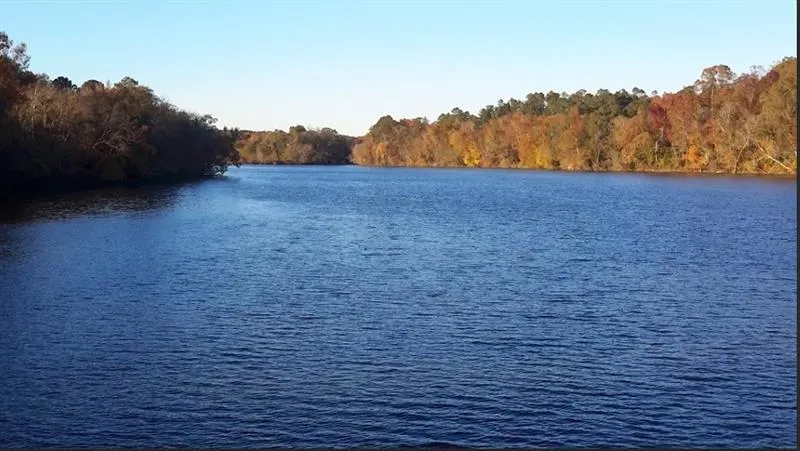 1047 Ponder Trammell Road Juliette, GA 31046