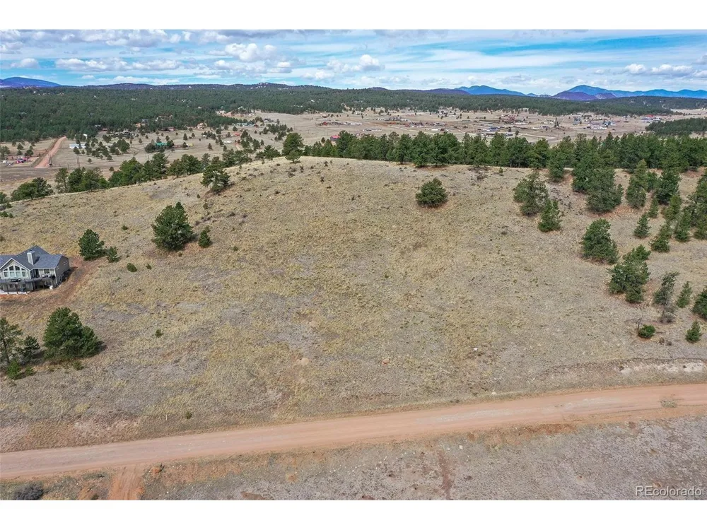 81 High Pasture Road Florissant, CO 80816