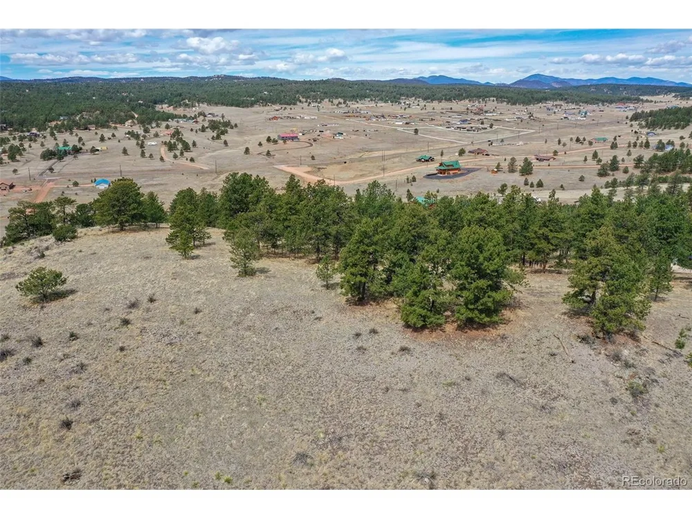81 High Pasture Road Florissant, CO 80816