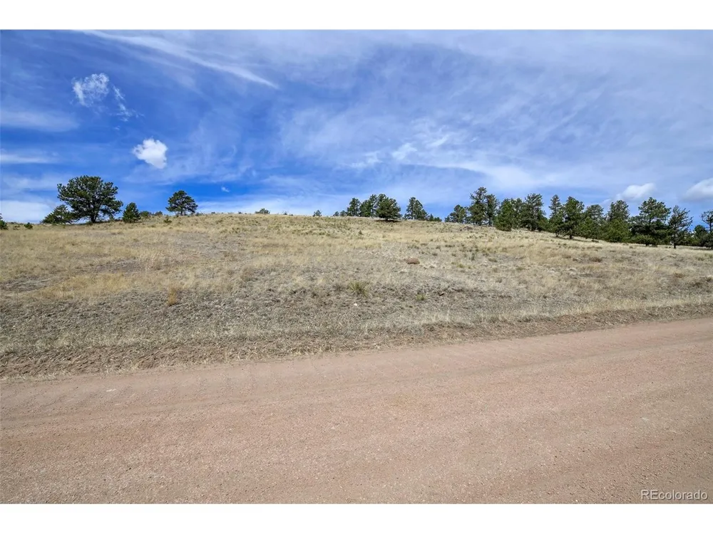 81 High Pasture Road Florissant, CO 80816
