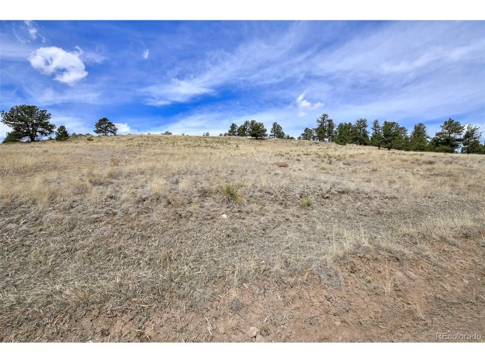 81 High Pasture Road Florissant, CO 80816