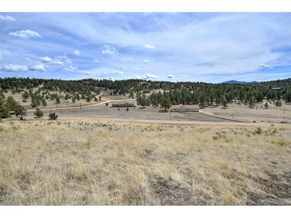 81 High Pasture Road Florissant, CO 80816