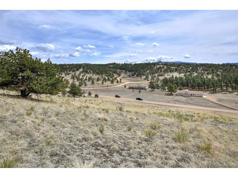 81 High Pasture Road Florissant, CO 80816