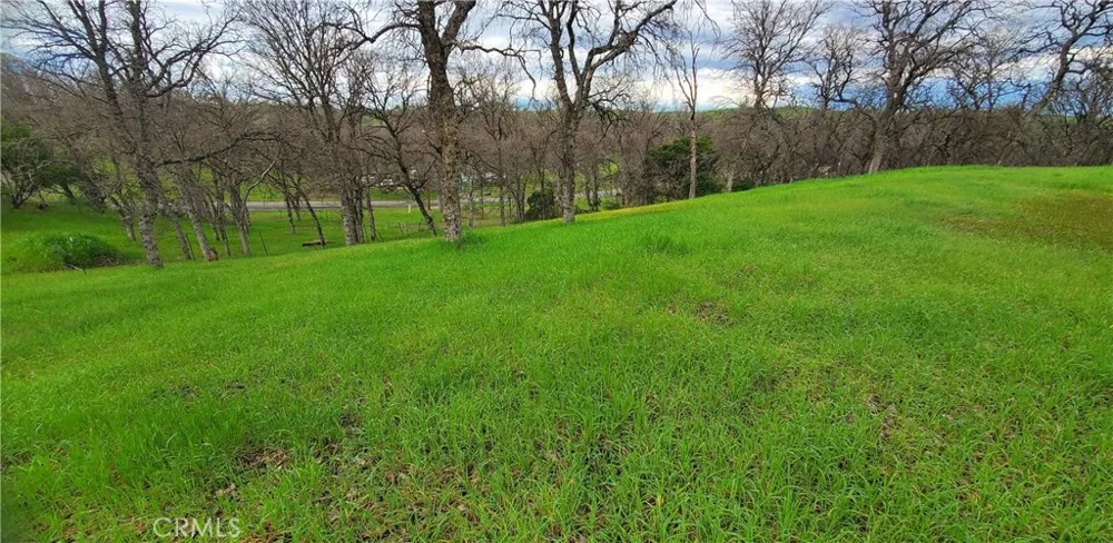 15842 S Mendocino Corning, CA 96021