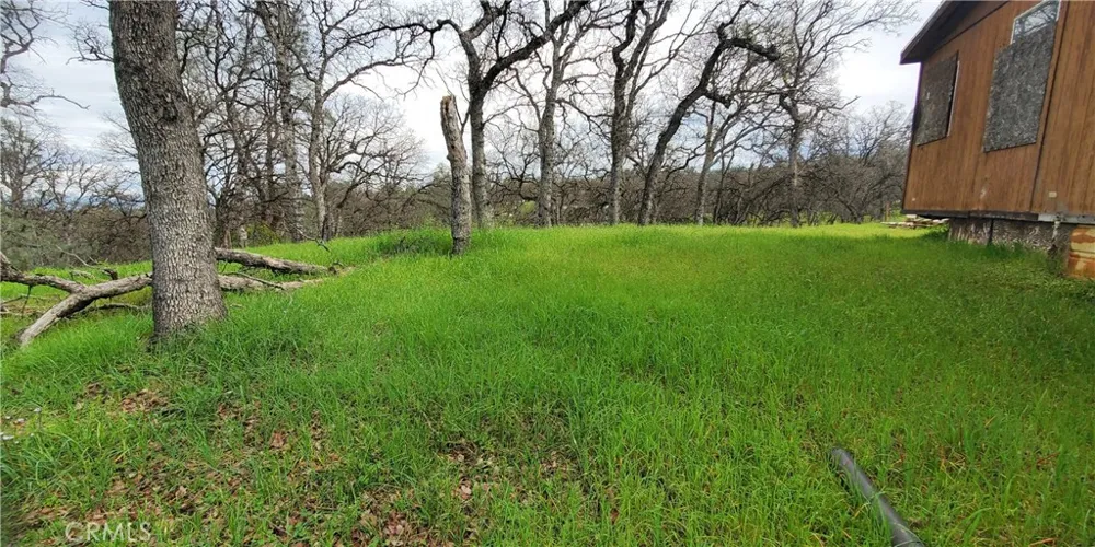 15842 S Mendocino Corning, CA 96021