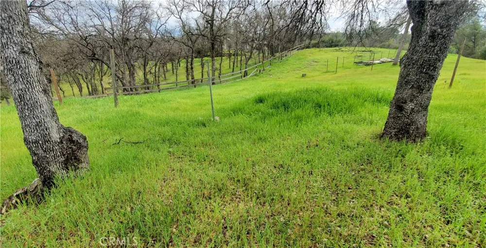 15842 S Mendocino Corning, CA 96021
