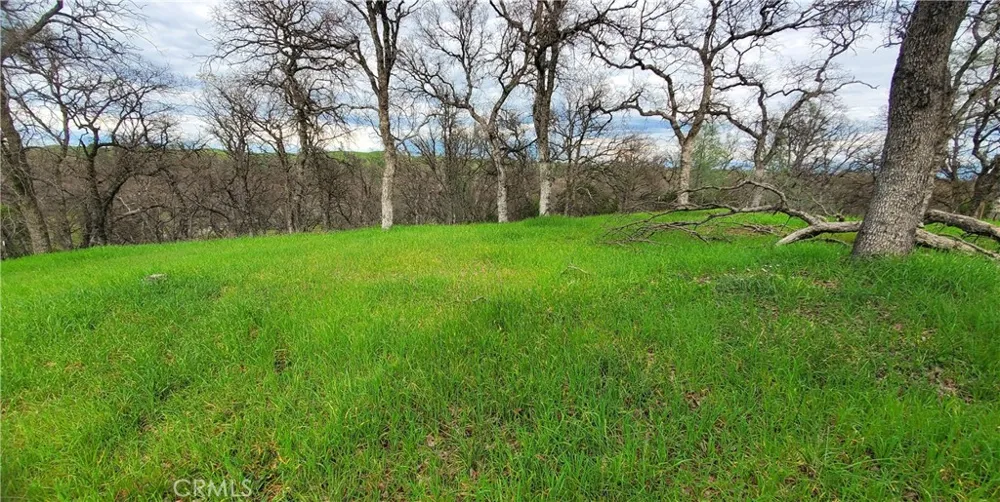 15842 S Mendocino Corning, CA 96021