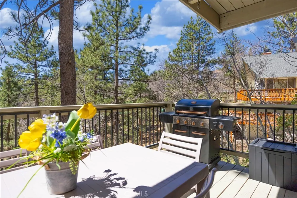 39563 Raccoon Drive Fawnskin, CA 92333