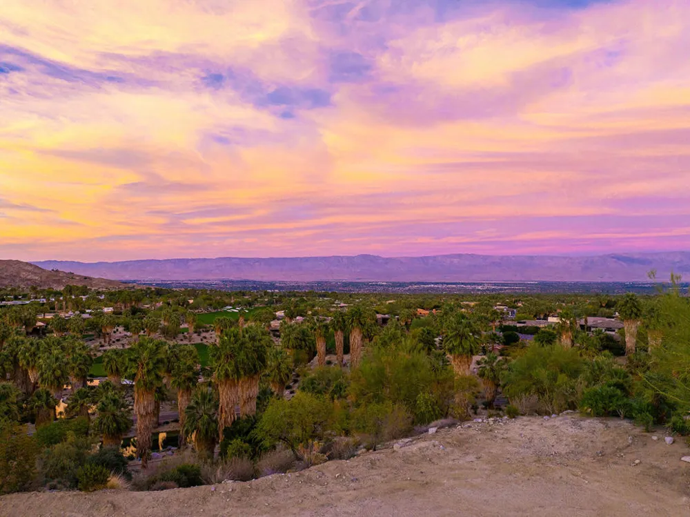 206 Palm Ridge Palm Desert, CA 92260