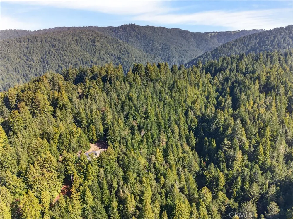 40421 Mountain View Road Manchester, CA 95459
