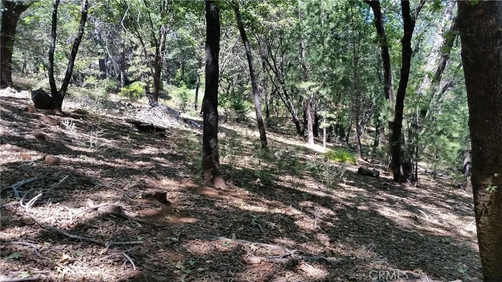 Adrian Drive Magalia, CA 95954
