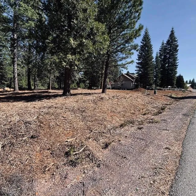 742 Red River Drive Lake Almanor, CA 96137