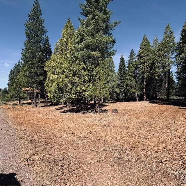 790 Red River Drive Lake Almanor, CA 96137