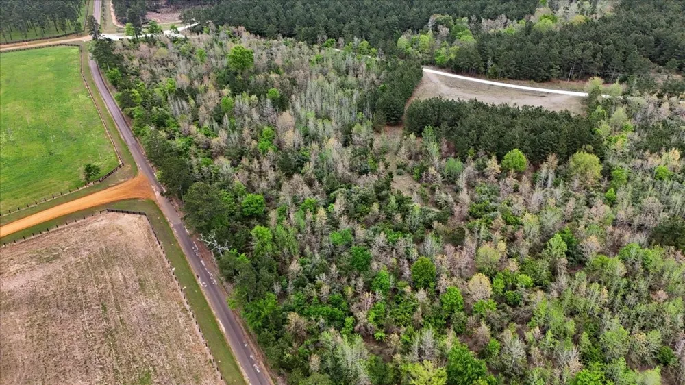 Lake Nacogdoches Ranch Nacogdoches, TX 75943