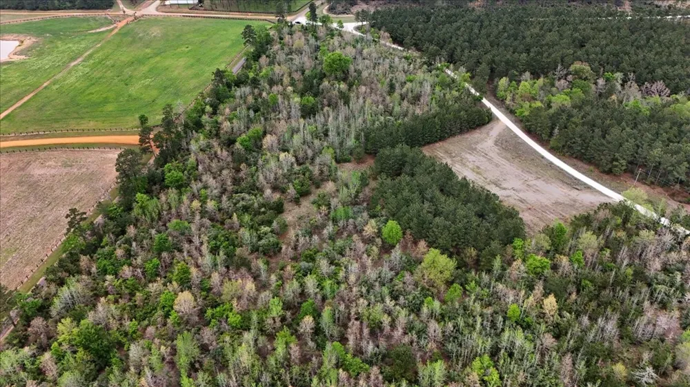 Lake Nacogdoches Ranch Nacogdoches, TX 75943
