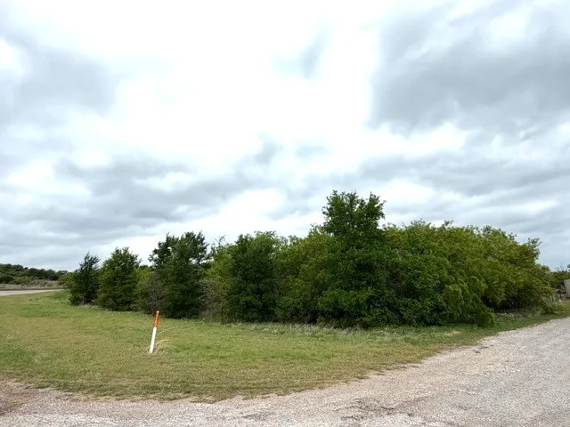 Mcalister Mingus, TX 76463