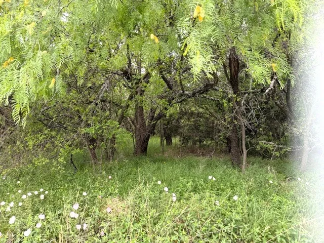 Mcalister Mingus, TX 76463