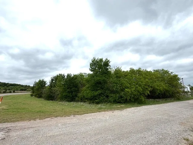 Mcalister Mingus, TX 76463