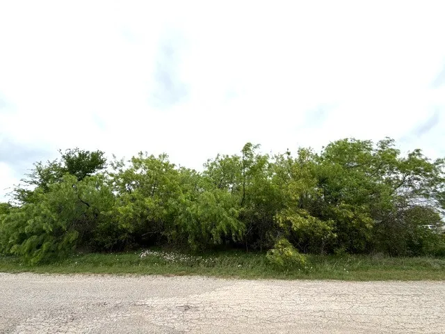 Mcalister Mingus, TX 76463