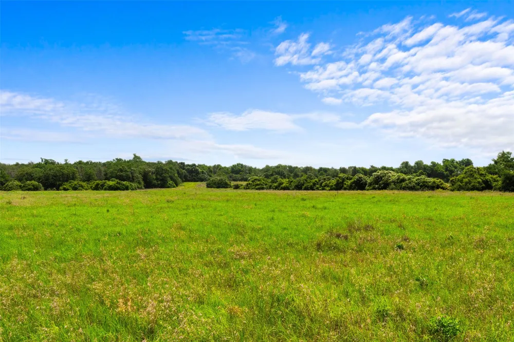 2874 Old Boone Prairie Road Franklin, TX 77856