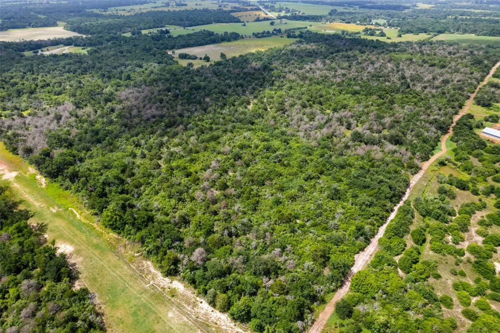 2874 Old Boone Prairie Road Franklin, TX 77856