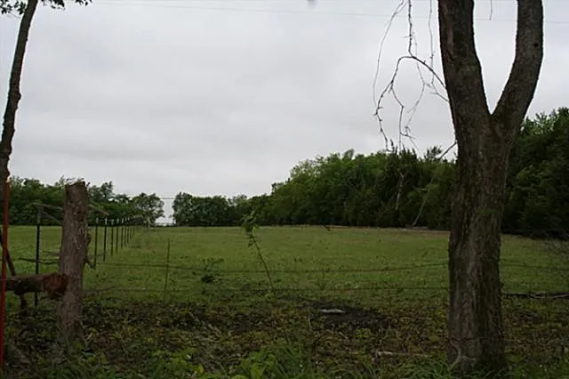 County Road 4910 Trenton, TX 75490