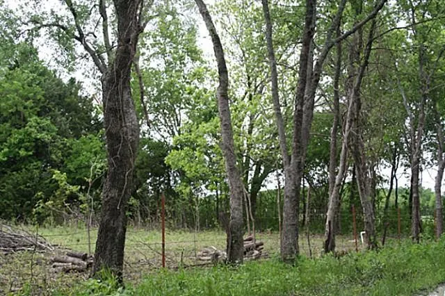 County Road 4910 Trenton, TX 75490