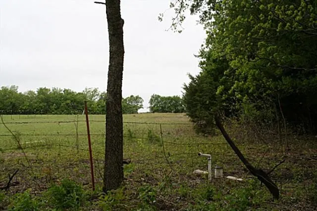 County Road 4910 Trenton, TX 75490