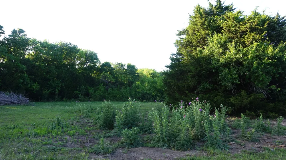 Adams Road Sherman, TX 75090