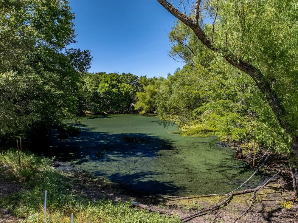 3139 Farm Road 3134 Cumby, TX 75433