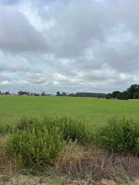 14018 COUNTY ROAD 4122