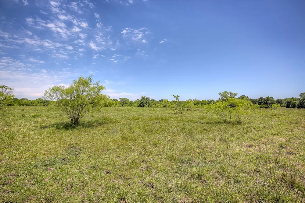 FM 429 Terrell, TX 75161