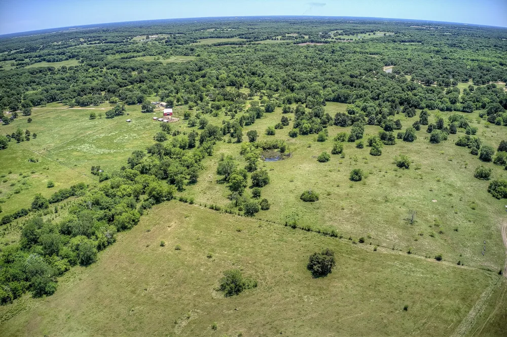 FM 429 Terrell, TX 75161