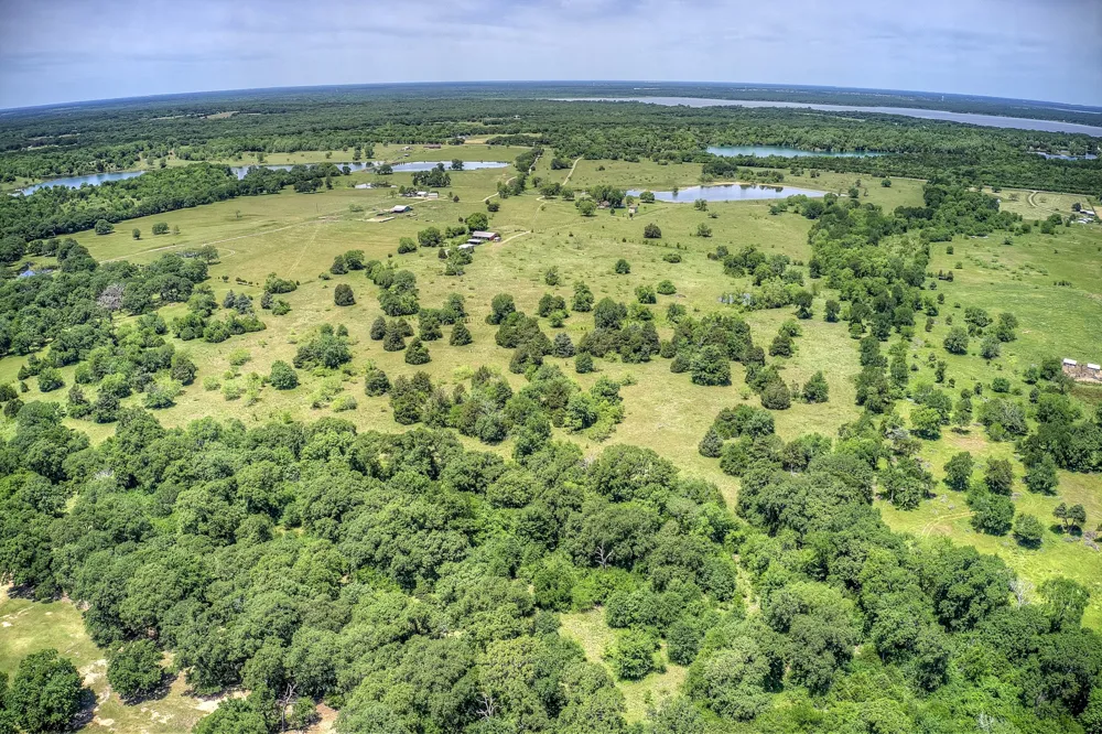 FM 429 Terrell, TX 75161