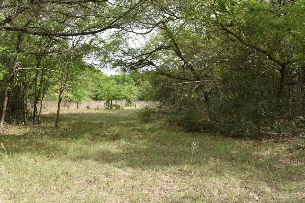 Mitchell Road Kosse, TX 76653