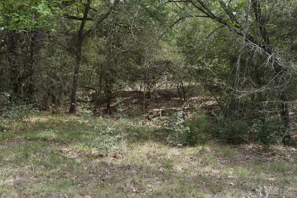 Mitchell Road Kosse, TX 76653