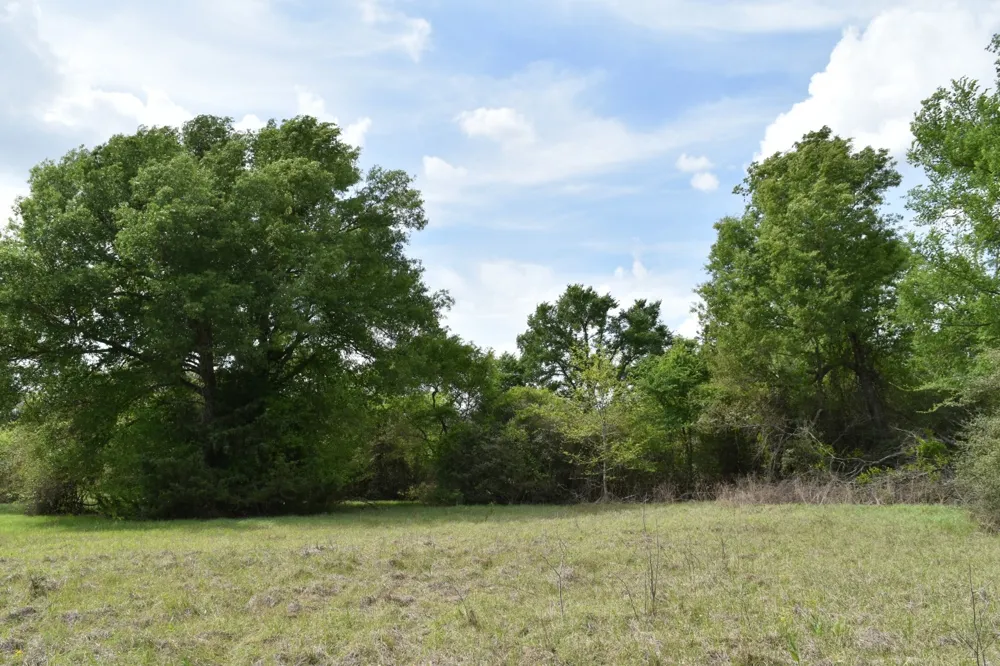 Mitchell Road Kosse, TX 76653