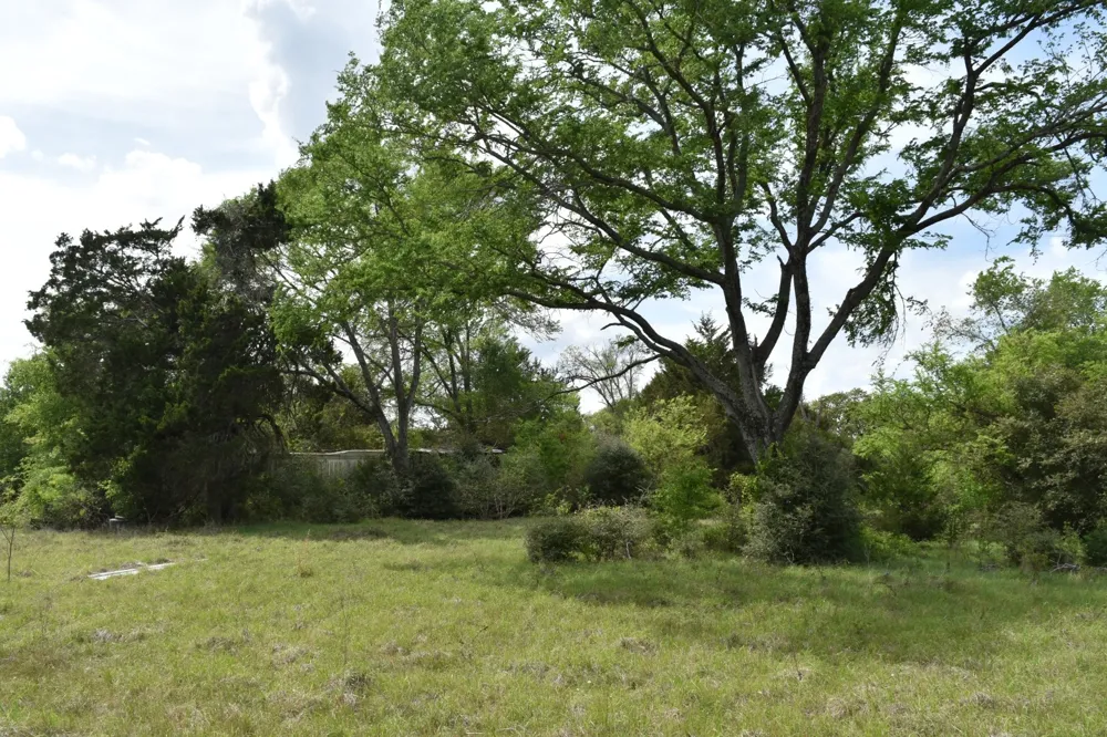 Mitchell Road Kosse, TX 76653