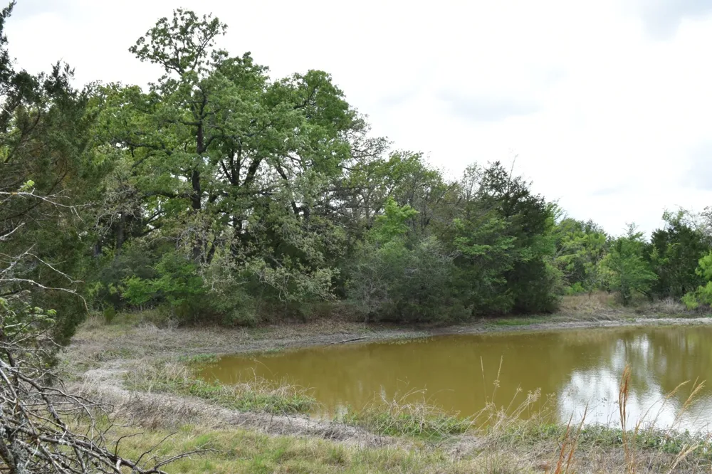 Mitchell Road Kosse, TX 76653