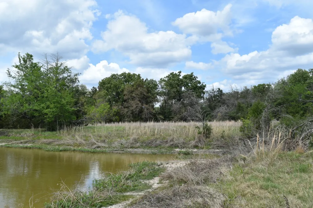Mitchell Road Kosse, TX 76653