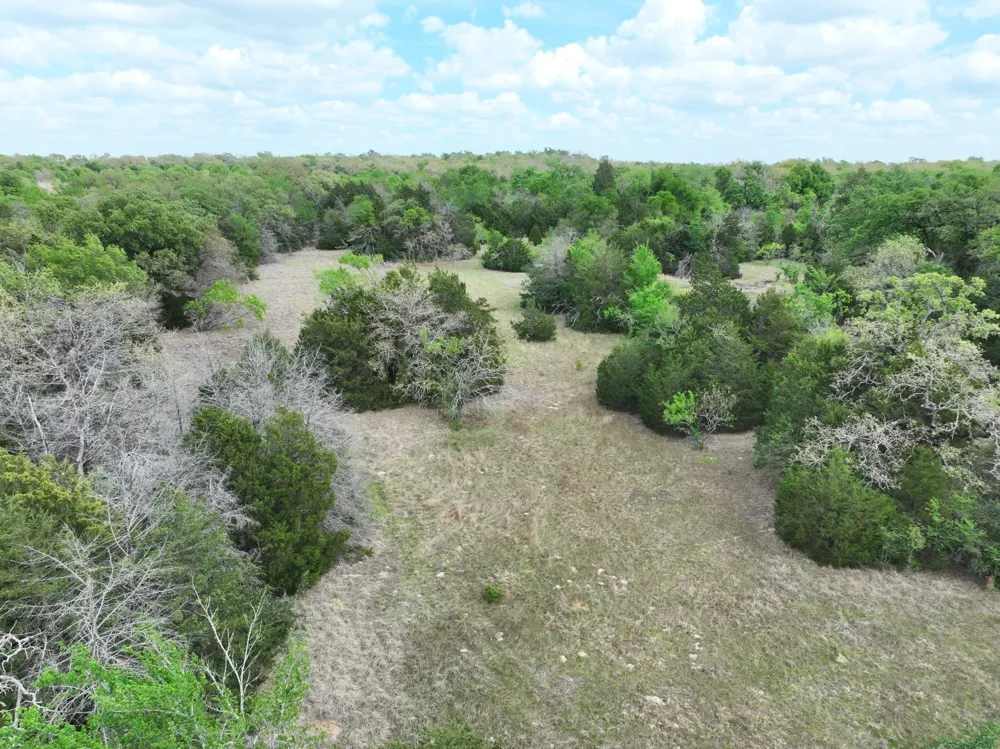 Mitchell Road Kosse, TX 76653