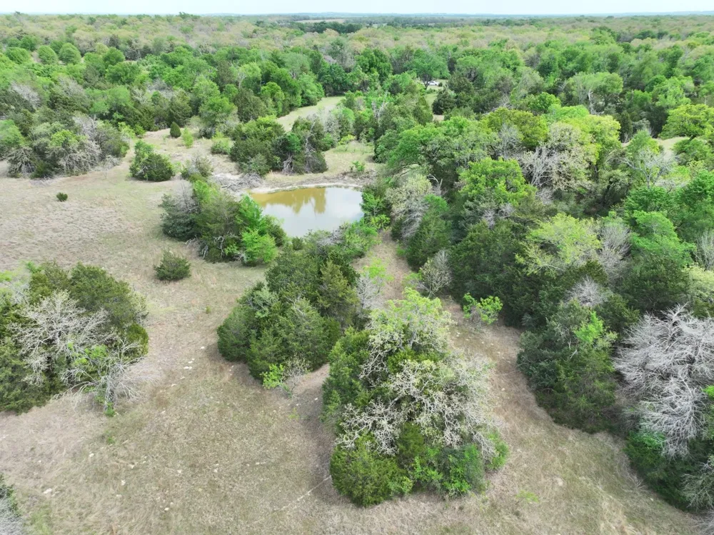 Mitchell Road Kosse, TX 76653