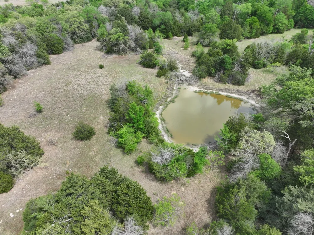 Mitchell Road Kosse, TX 76653